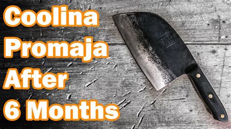 They are a complete scam. . Coolina knife reviews
